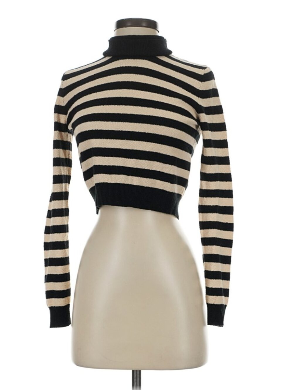 Zara Striped Turtleneck Sweater